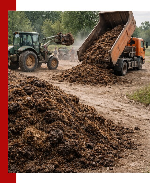 Доставка навоза самосвалами в Волхове для сельхозпотребностей